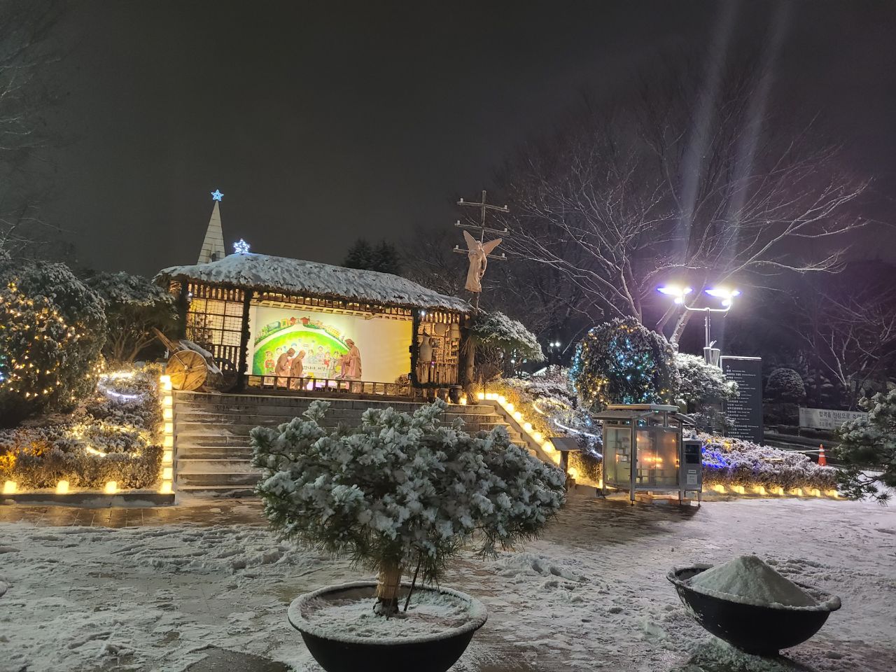 서강대학교 알바트로스탑 주변 캠퍼스 전경